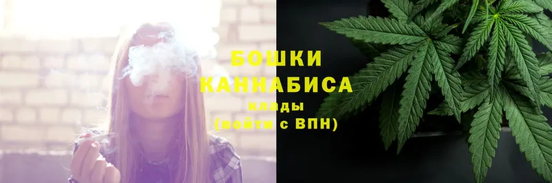 Канабис SATIVA & INDICA  Аша 